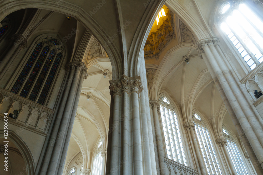 Columns in a neo-Gothic cathedral in La Plata, Argentina