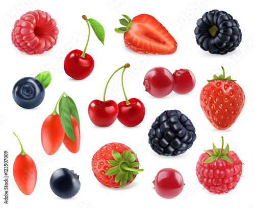 Fototapeta Naklejka Na Ścianę i Meble -  Forest berry. Sweet fruit. 3d vector icons set. Realistic illustration