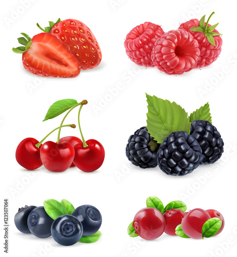 Forest berry. Sweet fruit. Realistic illustration. 3d vector icon set photo