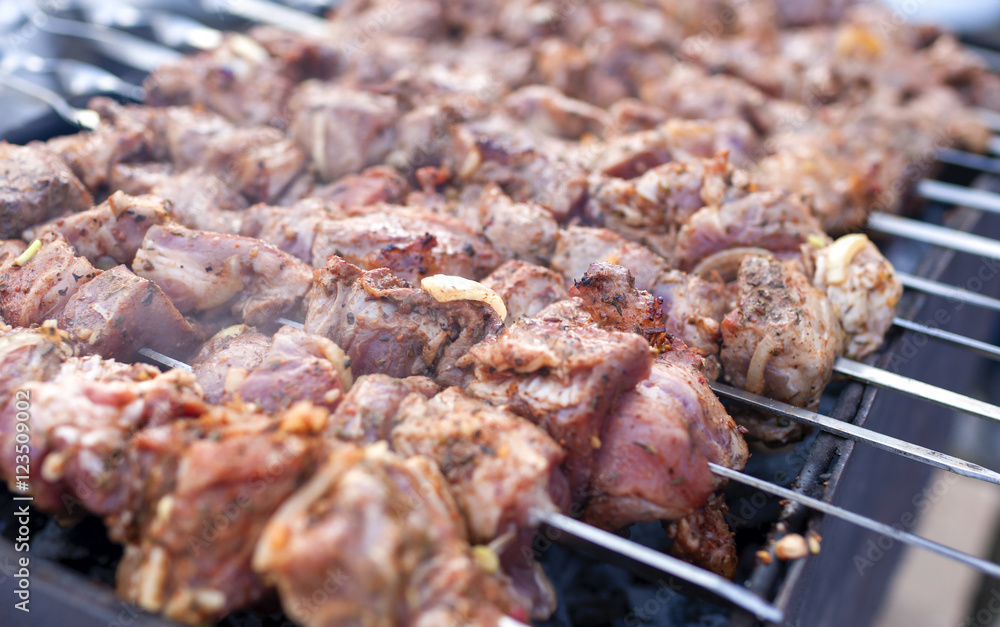 Shashlyk Meat on Metal Skewers Placed Together. Closeup Shot.