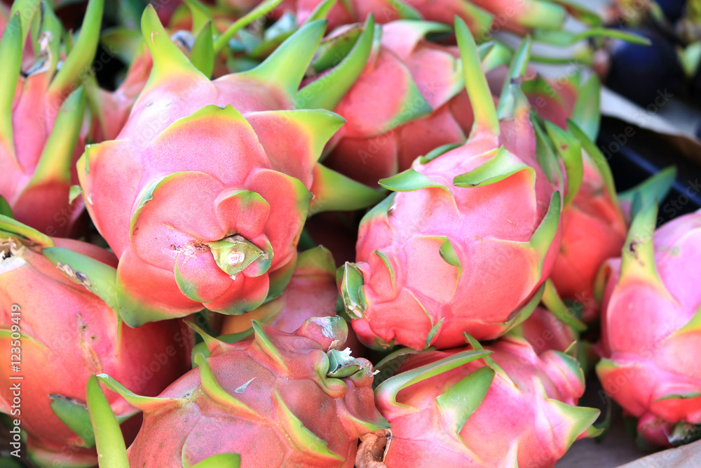 Hawaiian Dragon fruit Hawaiian Dragon fruit