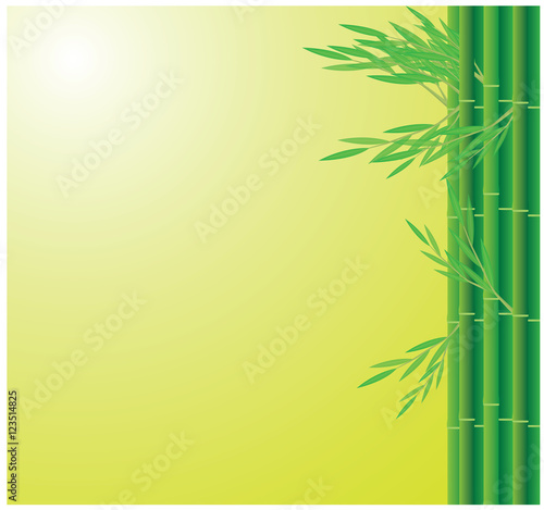 Fototapeta Naklejka Na Ścianę i Meble -  bamboo background vector design