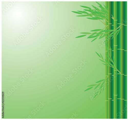 Fototapeta Naklejka Na Ścianę i Meble -  bamboo background vector design