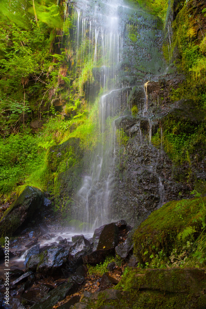 Fototapeta premium Mallyan Spout waterfall at Goathland,England