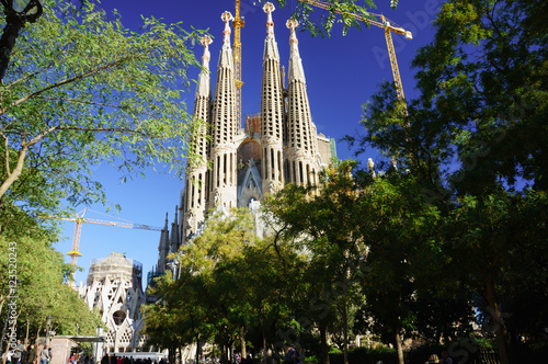 Fototapeta kuchenna Basilica and Expiatory Church of the Holy Family