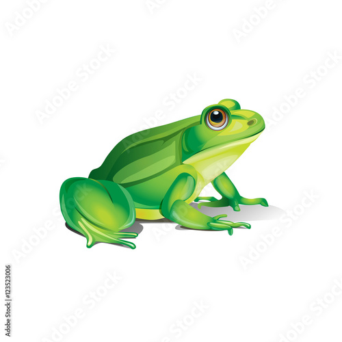 Canvas-taulu pretty realistic frog