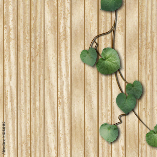 natural wooden background with green leaves