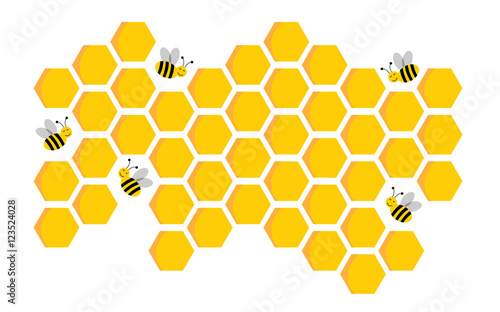 Bee and honey cells