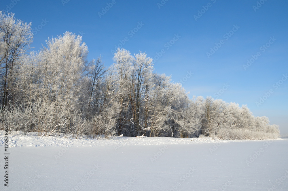Winter landscape with frost on a Sunny day Winter landscape with frost on a Sunny day