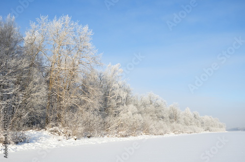Winter landscape with frost on a Sunny day