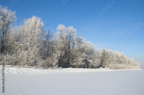 Winter landscape with frost on a Sunny day © koromelena