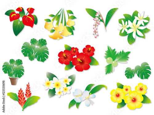 ハワイの植物いろいろ