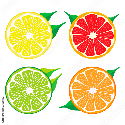 Abstract vector illustration of icon isolated logo for set fruits Orange grapefruit lemon lime.