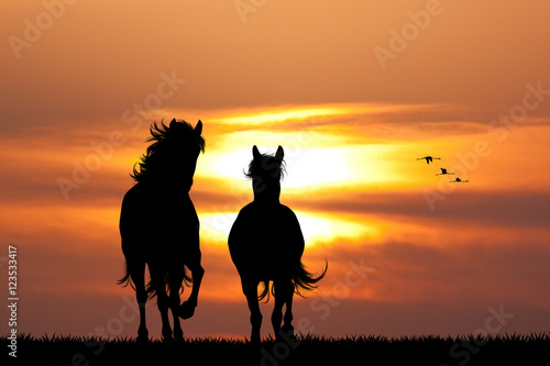 galloping horses at sunset