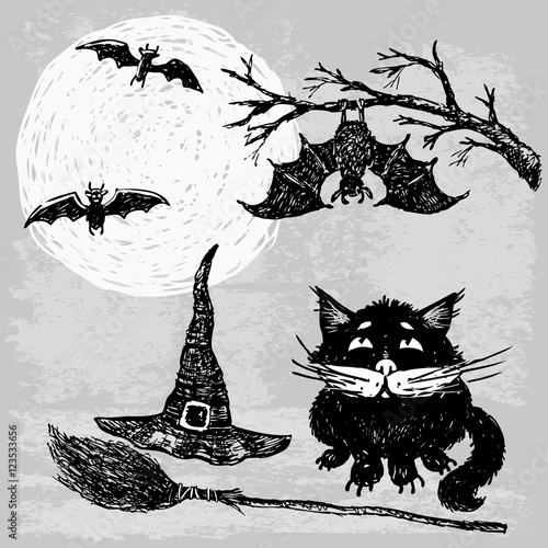 Black cat in the Halloween night