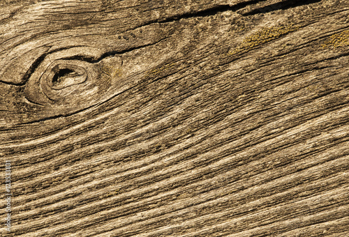 Cracked wood macro