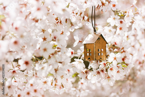 Little house in Spring with blossom cherry flower sakura © Elena Moiseeva