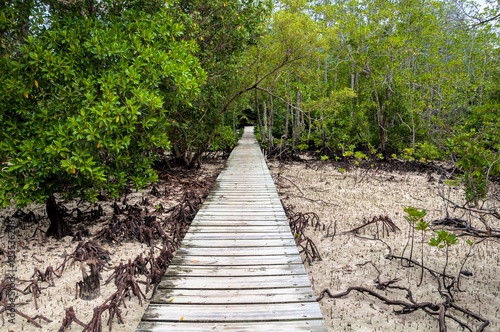 Seychellen - In den Mangroven auf Curieuse