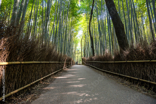 Fototapeta Naklejka Na Ścianę i Meble -  Path to bamboo forest, Arashiyama, Kyoto, Japan