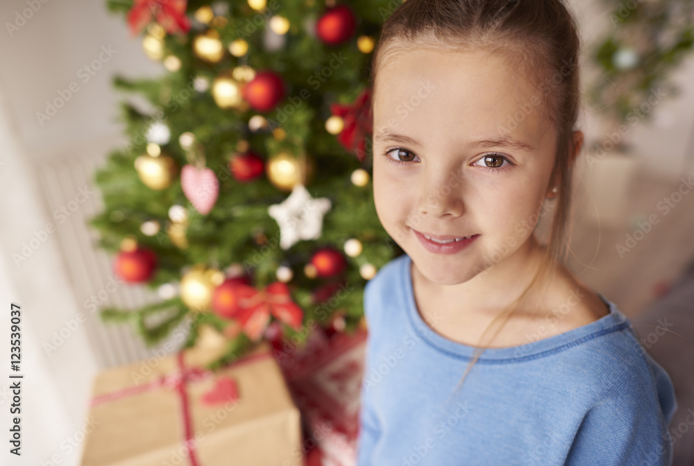Portrait of beautiful little girl at Christmas