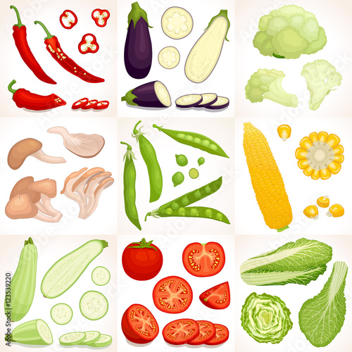Set of vegetables. Different vegetables whole, half and sliced isolated on background. Vector illustration.