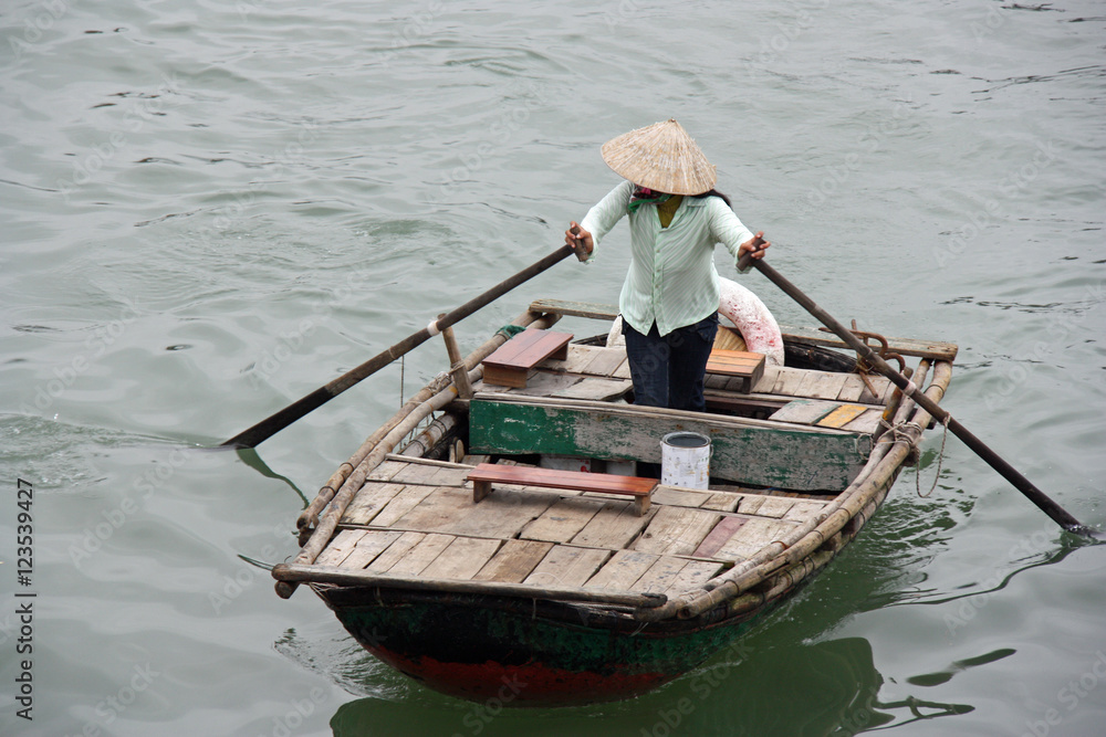 Barque de pêcheur dans la baie d'Halong au Vietnam