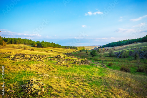 wooded hills on a sunny day, nature background