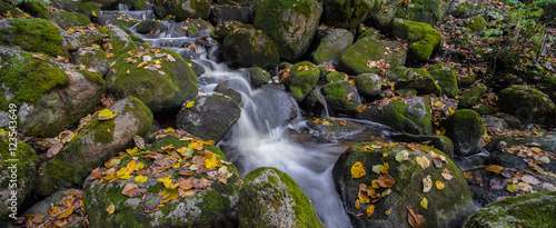 Water stream with green stones and fall yellow leavs.