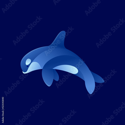 Orca whale vector character.