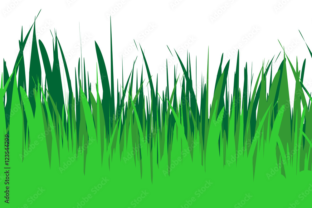 Naklejka Ilustracja wektorowa trawy.