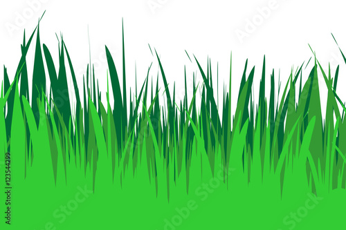 Vector illustration of grass.