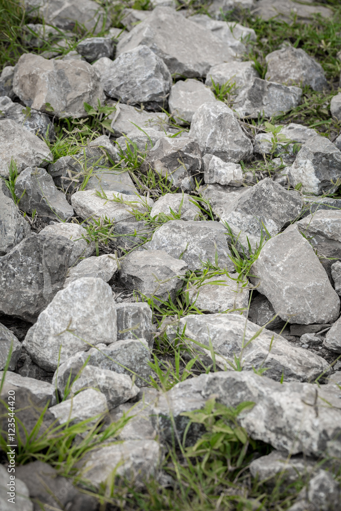 The ground is rocky with little vegetation.