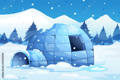 Igloo in the north pole