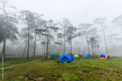 Camping area in the middle winter fog.