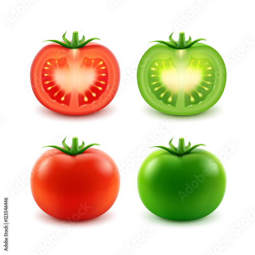 Vector Set of Big Ripe Red Green Fresh Cut Whole Tomatoes Close up Isolated on White Background