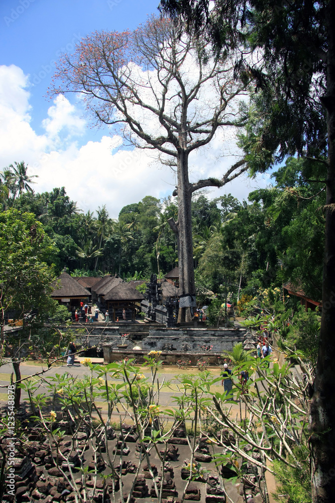Fototapeta premium Balinese elephant cave in ubud