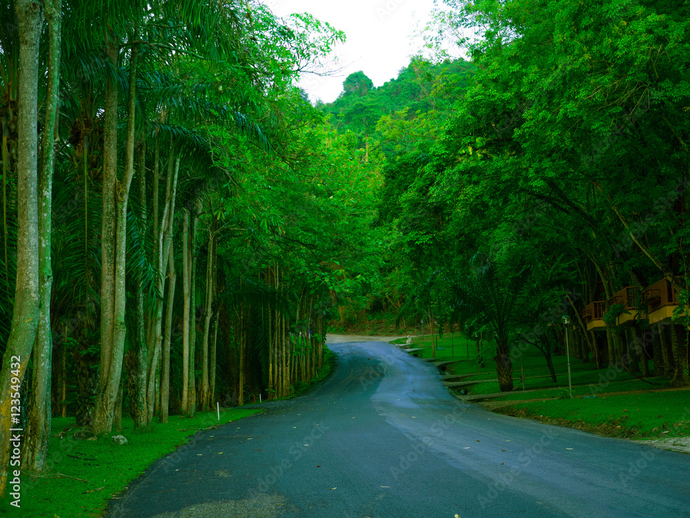 Fototapeta premium OLYMPUS DIGITAL CAMERA