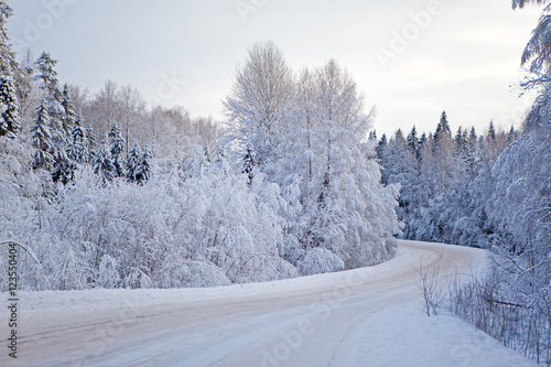 Winter road