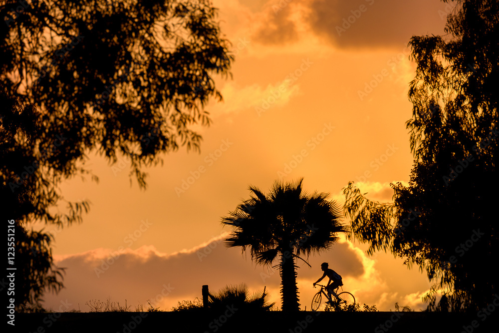 Obraz premium Bicycle and trees silhouette with cloudy orande sunset