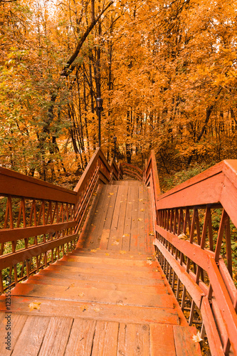 Wooden stairs with leaves in the autumn forest
