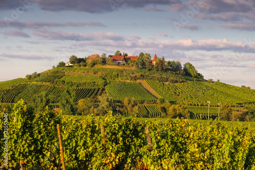 Фотография Zellenberg im Elsass - town Zellenberg in Alsace, France