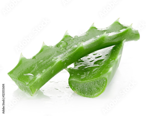 aloe isolated on white photo