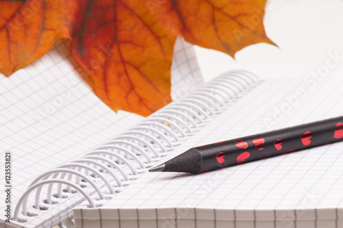 dehiscing notebook with bright maple leaves and patterned pencil photo