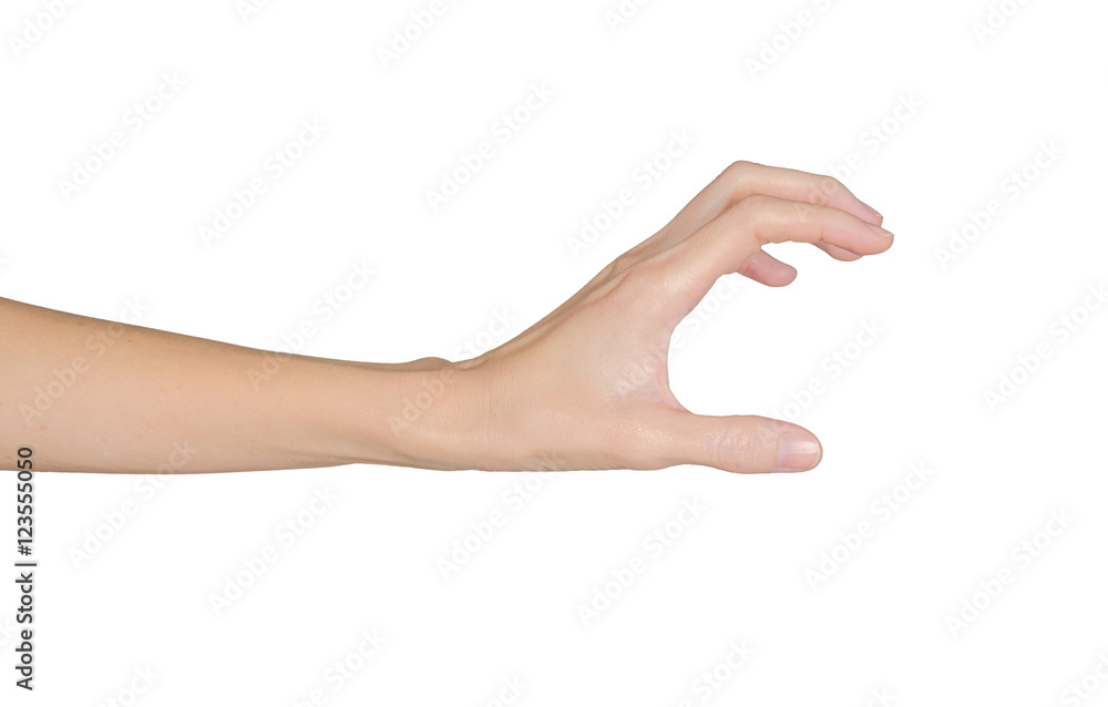 Closeup of female hand holding. Isolated on white background. Closeup of female hand holding. Isolated on white background.