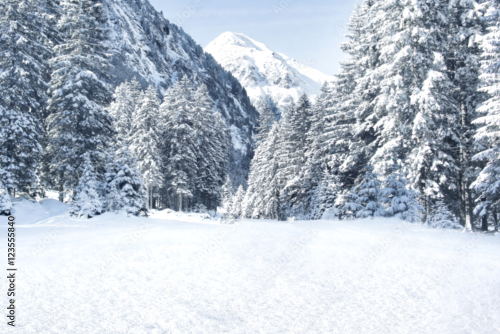 winter road winter road