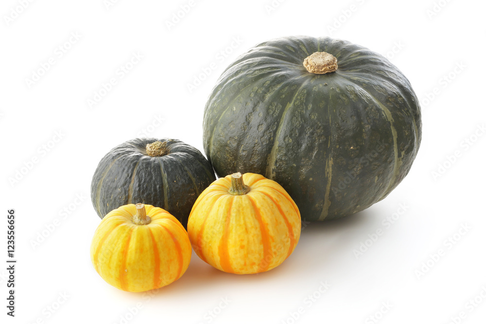 かぼちゃ Pumpkin かぼちゃ Pumpkin