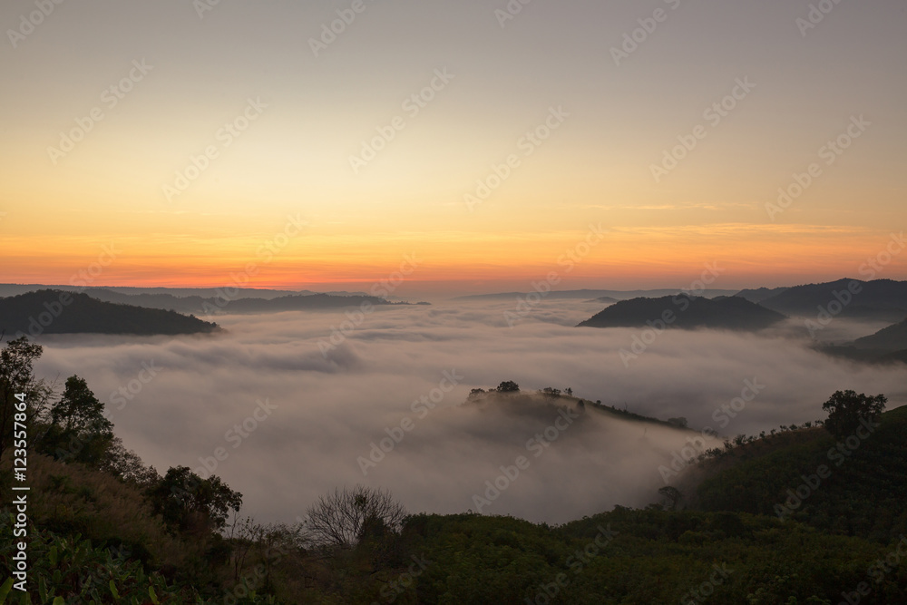 mist and fog sunrise morning time