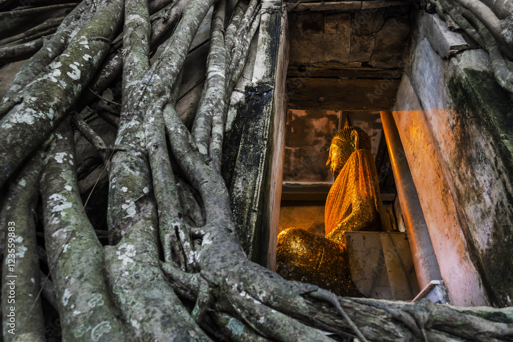 Fototapeta premium Buddha statue church old brick wall and tree root in Wat Bang Ku