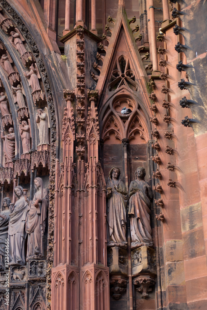 Taube brütet in der Fasade des Münster