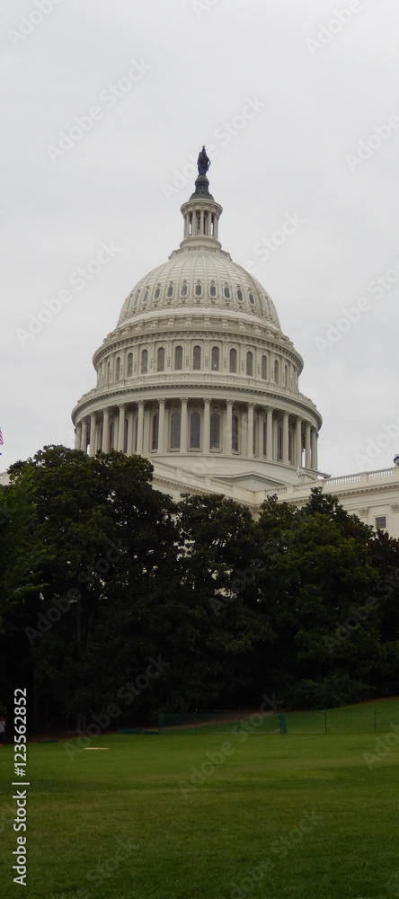 The United States Capitol Building, the eastern facade with the dome from the park, on a cloudy day in Washington DC.